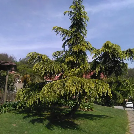 El Atico De Villalmar