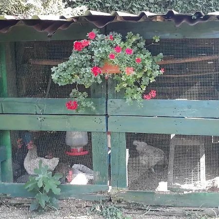 Apartamento El Atico De Villalmar Tui
